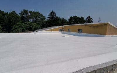 How to Extend the Lifespan of Your Commercial Roof in the Midwest